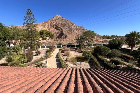 Villa till salu Callosa de Segura, Alicante, Spanien 7 sovrum, 616 kvm. Nr. 137802 - foto 10