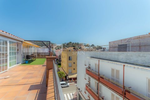 Apartamento en venta en Tossa de Mar, Gerona, España 9 dormitorios, 150 m2 No. 166459 - foto 13