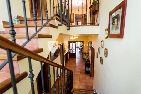 Casa in vendita a Blanes, Girona, Spagna 5 camere da letto, 459 mq. N° 166455 - foto 18