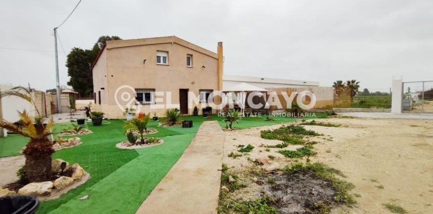 House à Daya Nueva, Alicante, Espagne 4 chambres, 431 m2 No. 149088