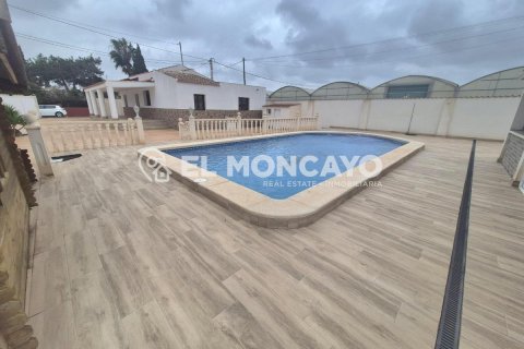 House à vendre à Dolores, Alicante, Espagne, 3 chambres, 173 m2 No. 149087 - photo 8
