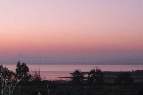 Dzīvoklis pārdošanā Guardamar del Segura, Alicante, Spānijā 3 istabas, 93 m2 Nr. 135599 - attēls 29