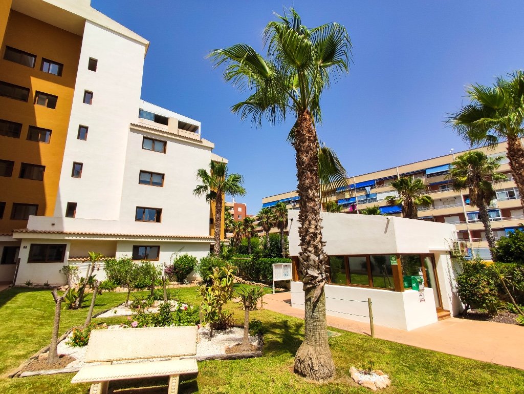 Lägenhet i Punta Prima, Alicante, Spanien 2 sovrum, 95 kvm. Nr. 145430