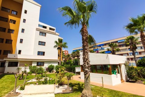Huoneisto myytävänä Punta Prima, Alicante, Espanja, 2 makuuhuonetta, 95 m2 No. 145430 - kuva 20