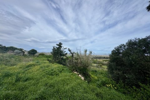 Продажа виллы в Лос Белонес, Мурсия, Испания 4 спальни, 210м2 №155942 - фото 22