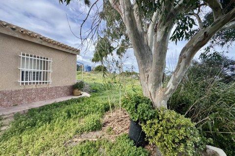 Продажа виллы в Лос Белонес, Мурсия, Испания 4 спальни, 210м2 №155942 - фото 24