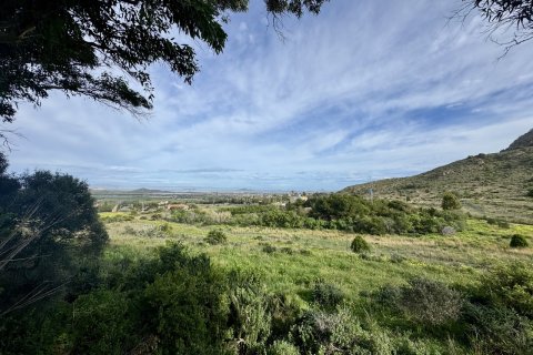 Продажа виллы в Лос Белонес, Мурсия, Испания 4 спальни, 210м2 №155942 - фото 27