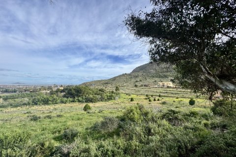 Продажа виллы в Лос Белонес, Мурсия, Испания 4 спальни, 210м2 №155942 - фото 26