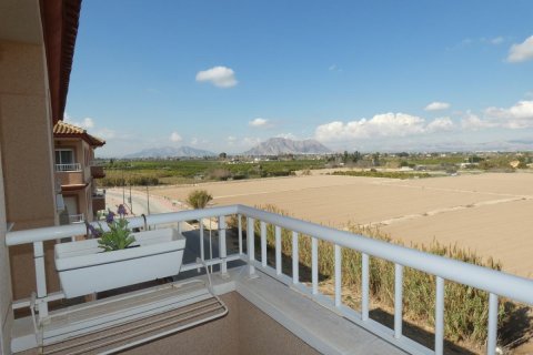 Lägenhet i Algorfa, Alicante, Spanien 1 sovrum,  Nr. 183818