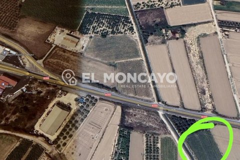 Terreno a Guardamar del Segura, Alicante, Spagna N° 183817