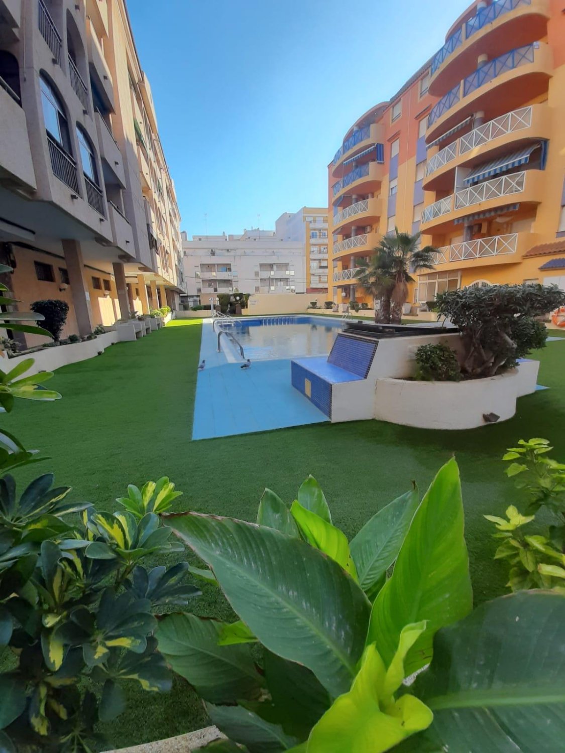 Apartment in Torrevieja, Alicante, Spain 3 bedrooms, 1 sq.m. No. 183816
