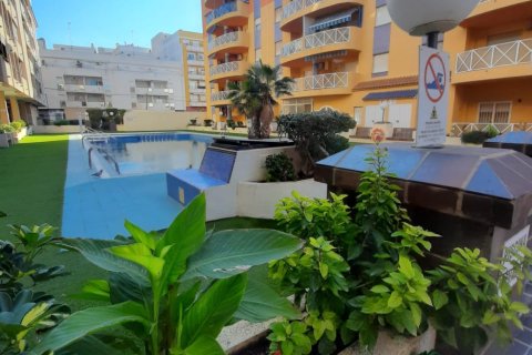 Apartment à Torrevieja, Alicante, Espagne 3 chambres, 1 m2 No. 183816