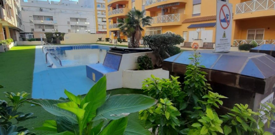 Wohnung in Torrevieja, Alicante, Spanien 3 Schlafzimmer, 1 m2 Nr. 183816