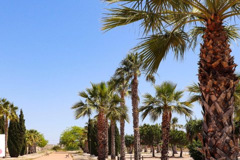 Willa w San Fulgencio, Alicante, Hiszpania 4 sypialnie, 330 mkw. nr 140318 – zdjęcie 9