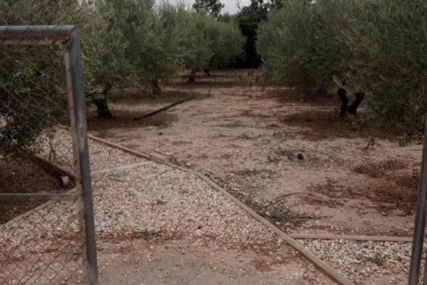 Dom w Calasparra, Murcia, Hiszpania 3 sypialnie,  nr 152267 – zdjęcie 21