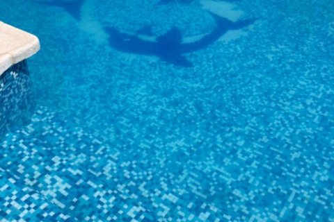 Dom w Calasparra, Murcia, Hiszpania 3 sypialnie,  nr 152267 – zdjęcie 19