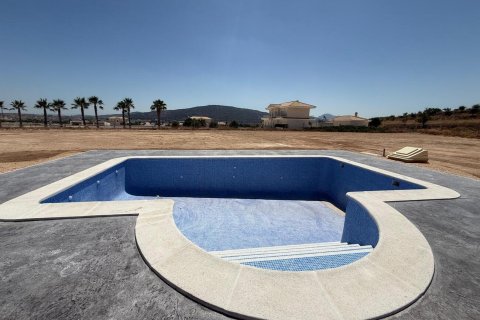 Finca à vendre à Pinoso, Alicante, Espagne, 4 chambres, No. 195462 - photo 6