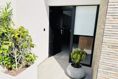Villa till salu Algorfa, Alicante, Spanien 2 sovrum, 132 kvm. Nr. 139472 - foto 14