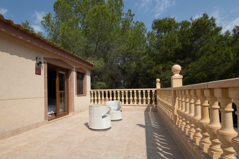 Finca till salu Torremendo, Alicante, Spanien 4 sovrum, 220 kvm. Nr. 139471 - foto 30