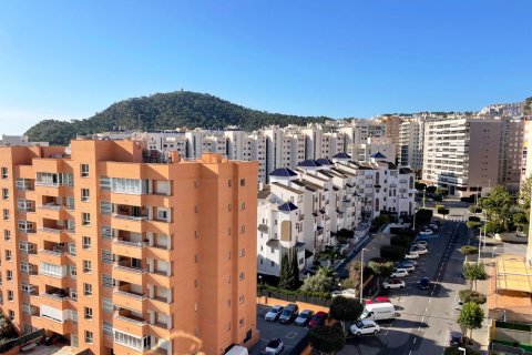 Duplex for sale in Villajoyosa, Alicante, Spain 1 bedroom, No. 183557 - photo 21