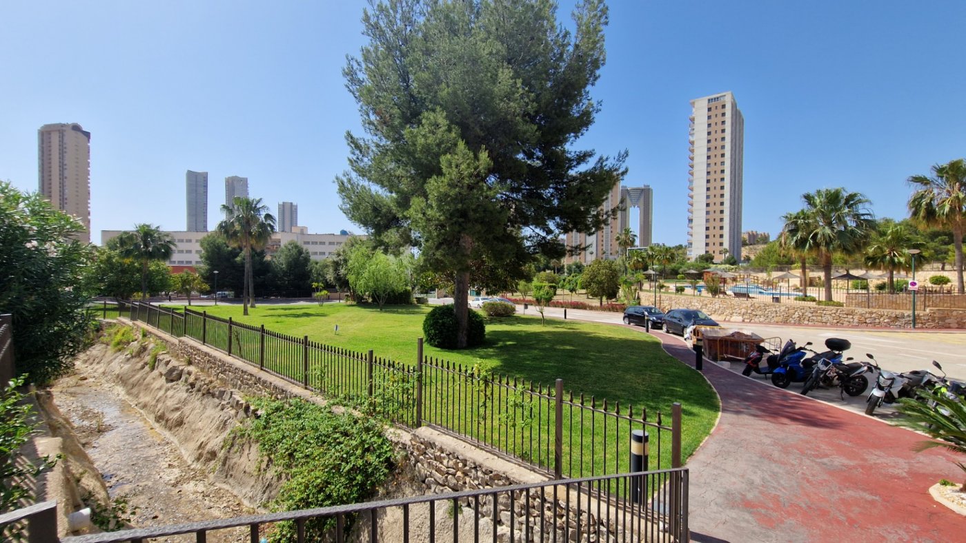 Apartment in Benidorm, Alicante, Spain 1 bedroom,  No. 183558