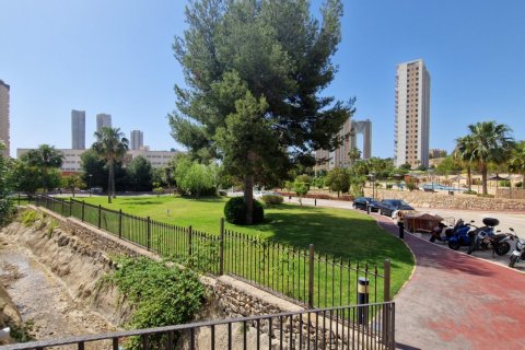 Apartment for sale in Benidorm, Alicante, Spain 1 bedroom, No. 183558 - photo 21