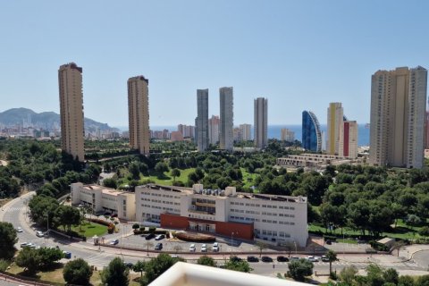 Lägenhet i Benidorm, Alicante, Spanien 1 sovrum,  Nr. 183558