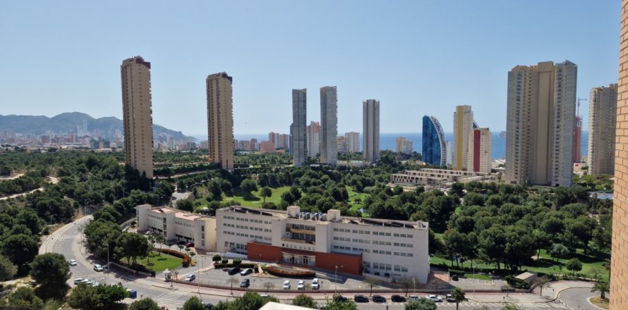 Apartment in Benidorm, Alicante, Spain 1 bedroom, No. 183558