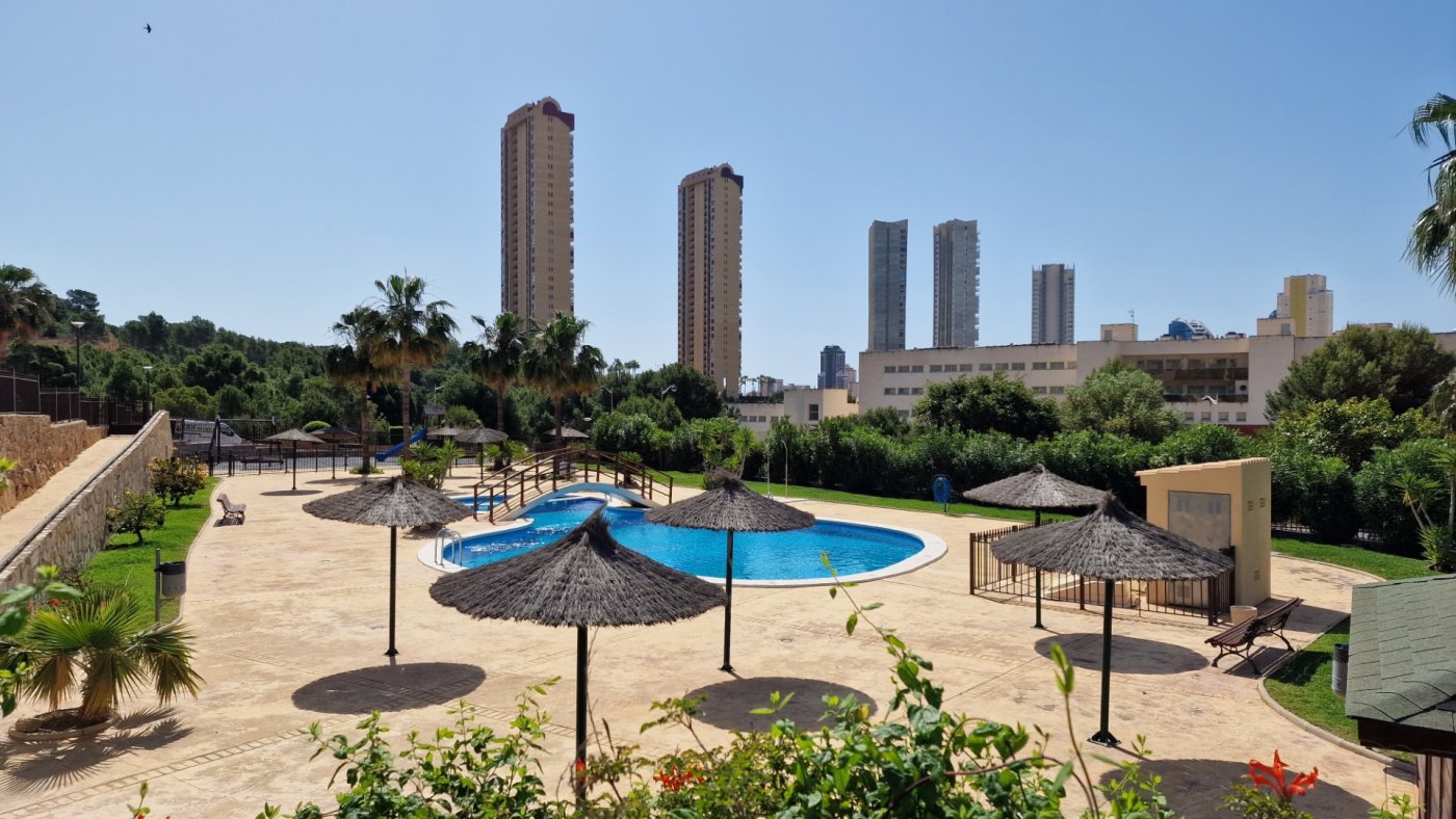 Apartment in Benidorm, Alicante, Spain 1 bedroom,  No. 183558