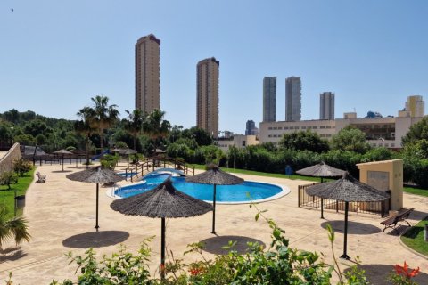 Apartment for sale in Benidorm, Alicante, Spain 1 bedroom, No. 183558 - photo 16