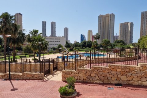 Apartment for sale in Benidorm, Alicante, Spain 1 bedroom, No. 183558 - photo 20