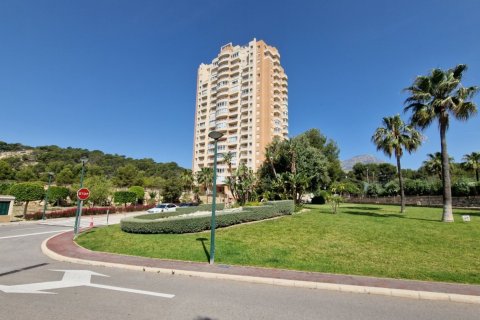 Apartment for sale in Benidorm, Alicante, Spain 1 bedroom, No. 183558 - photo 14