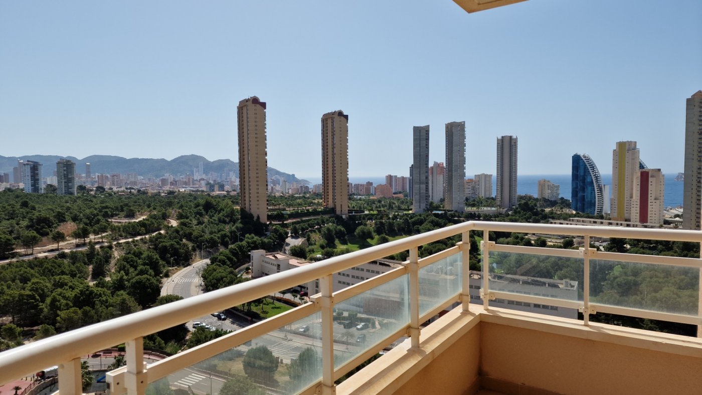 Apartment in Benidorm, Alicante, Spain 1 bedroom,  No. 183558