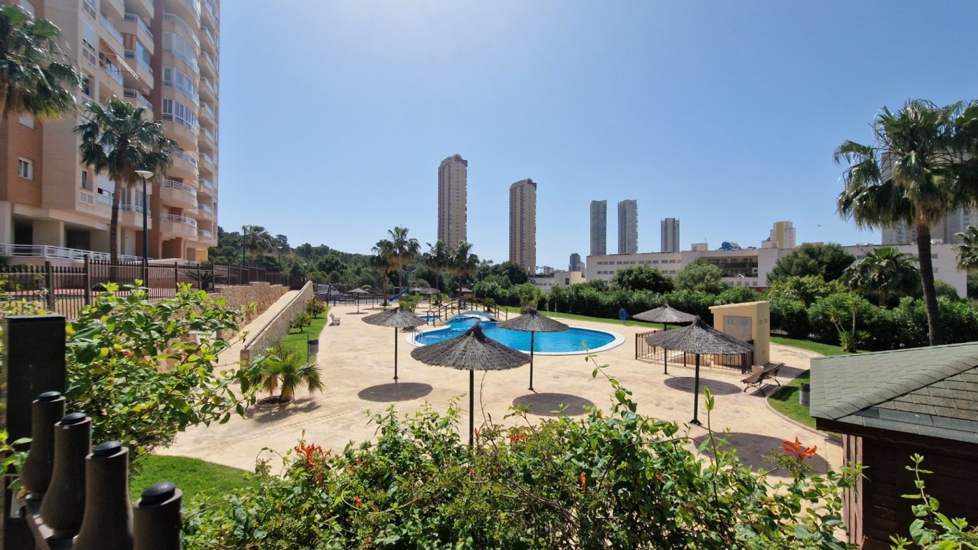 Apartment in Benidorm, Alicante, Spain 1 bedroom,  No. 183558