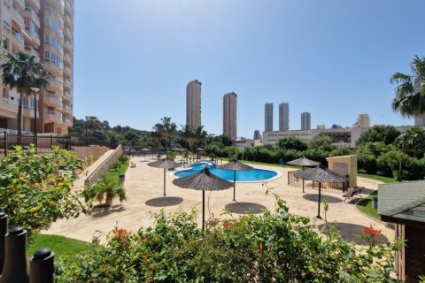 Apartment for sale in Benidorm, Alicante, Spain 1 bedroom, No. 183558 - photo 17