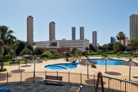 Apartment for sale in Benidorm, Alicante, Spain 1 bedroom, No. 183558 - photo 13
