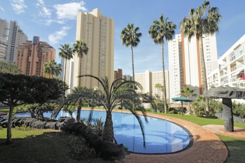 Wohnung zum Verkauf in Benidorm, Alicante, Spanien 2 Schlafzimmer, Nr. 183556 - Foto 23