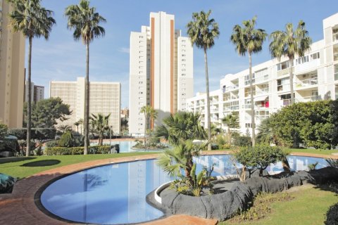 Apartment à Benidorm, Alicante, Espagne 2 chambres,  No. 183556