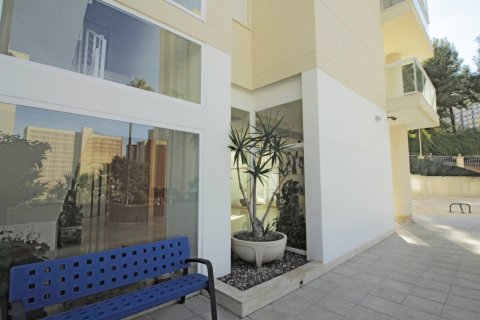 Wohnung zum Verkauf in Benidorm, Alicante, Spanien 2 Schlafzimmer, Nr. 183556 - Foto 3