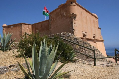 Apartment for sale in Pulpi, Almeria, Spain 1 bedroom, 67 sq.m. No. 183380 - photo 16