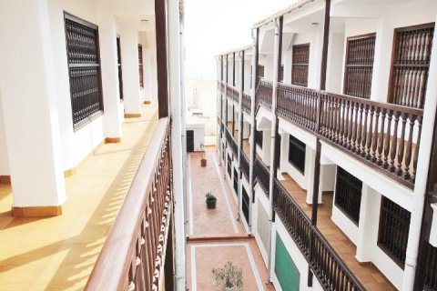 Duplex zum Verkauf in Guardamar del Segura, Alicante, Spanien 2 Schlafzimmer, 73 m2 Nr. 183383 - Foto 22