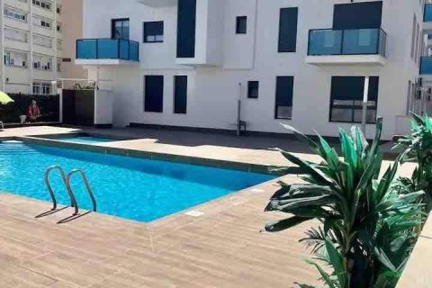 Huoneisto myytävänä Torrevieja, Alicante, Espanja, 2 makuuhuonetta, 55 m2 No. 149553 - kuva 21