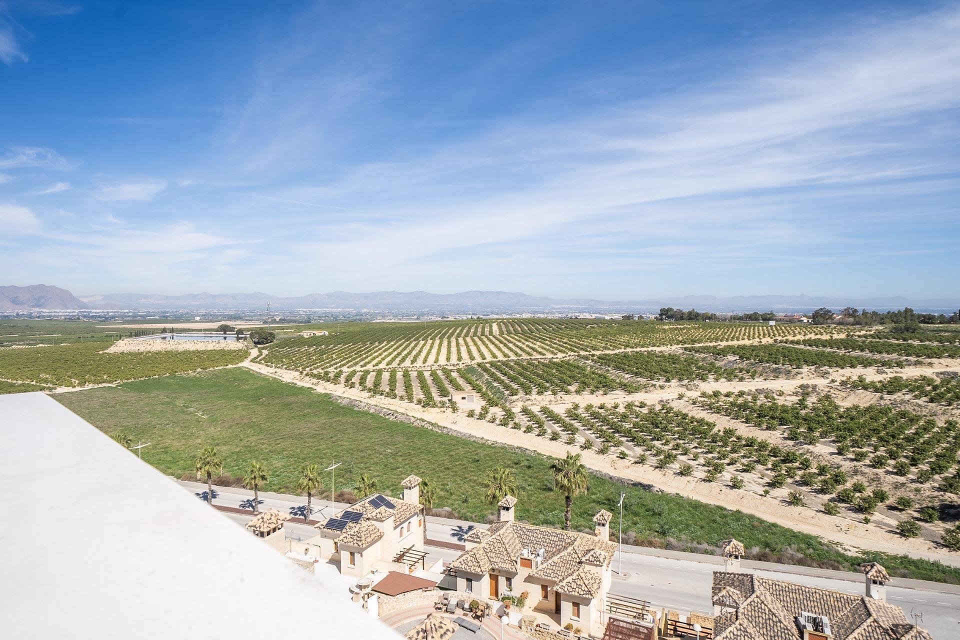 Villa a Algorfa, Alicante, Spagna 3 camere da letto, 238 mq. N° 135337