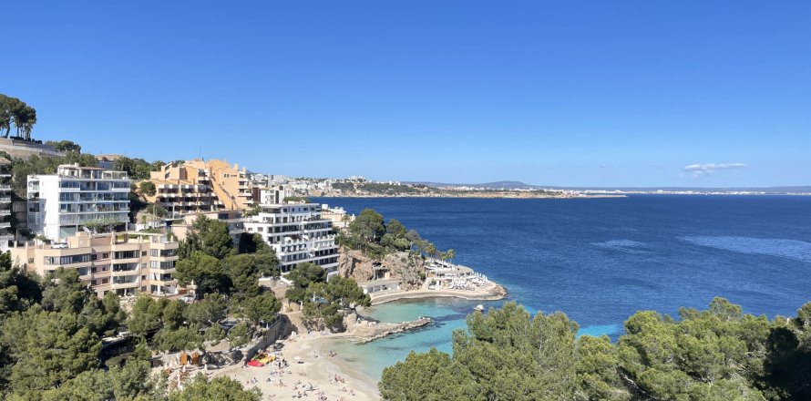 Kattohuoneisto Illetes (Ses), Mallorca, Espanja 3 makuuhuonetta, 71 m2 No. 164867