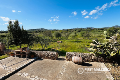 Аренда финки в Порту-Кристо, Майорка, Испания 3 спальни, 220м2 №164871 - фото 21