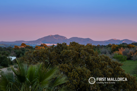 Продажа финки в Монтуири, Майорка, Испания 8 спален, 1265м2 №164868 - фото 3