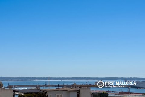 Appartamento in vendita a Palma de Majorca, Mallorca, Spagna 3 camere da letto, 166 mq. N° 164866 - foto 15