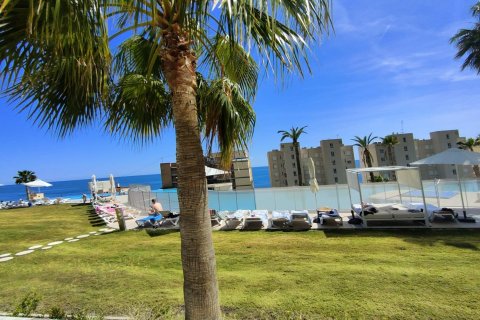 Penthäuser zum Verkauf in Benidorm, Alicante, Spanien 156 m2 Nr. 168882 - Foto 24