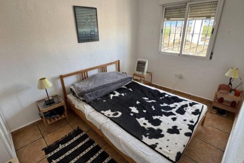 Apartament w Cox, Alicante, Hiszpania 600 mkw. nr 168884 – zdjęcie 8