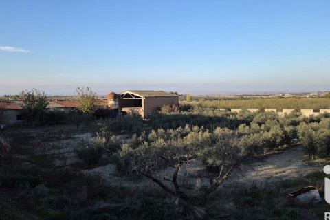 Terreno in Spagna 6260 mq. N° 185461